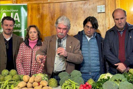 El Camp d’Elx incrementa un 7% la producción de hortalizas de invierno y alcanza los 24 millones de kilos