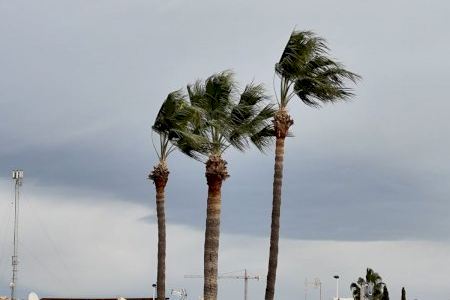 Alerta por fuertes vientos en Villena: cierre de parques y suspensión de actividades al aire libre