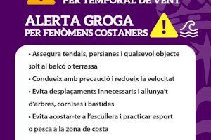Gandia activa medidas preventivas ante la alerta naranja por vientos - (foto 3)