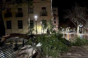 Un segundo episodio de fuerte viento en pocos días deja nuevas incidencias en Xàtiva - (foto 4)