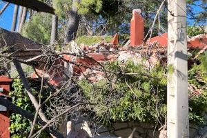 Un segundo episodio de fuerte viento en pocos días deja nuevas incidencias en Xàtiva - (foto 5)