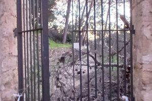 Un segundo episodio de fuerte viento en pocos días deja nuevas incidencias en Xàtiva - (foto 6)