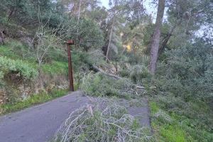 Un segundo episodio de fuerte viento en pocos días deja nuevas incidencias en Xàtiva