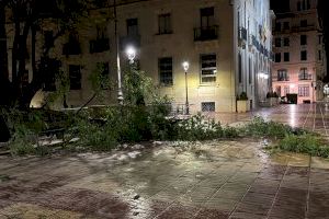 Un segundo episodio de fuerte viento en pocos días deja nuevas incidencias en Xàtiva - (foto 3)