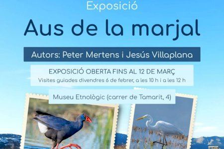 Oliva amplia l’exposició 'Aus de la marjal' al Museu Etnològic i organitza visites guiades Oliva amplia l’exposició 'Aus de la marjal' al Museu Etnològic i organitza visites guiades
