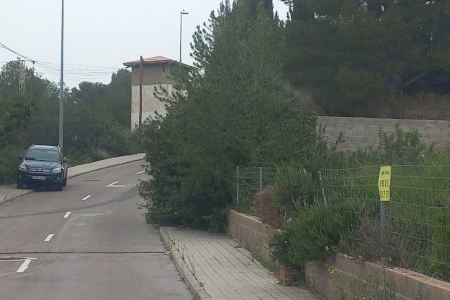 Més l'Alcora denúncia que les rates se sumen ara a altres problemes de la urbanització El Pantano