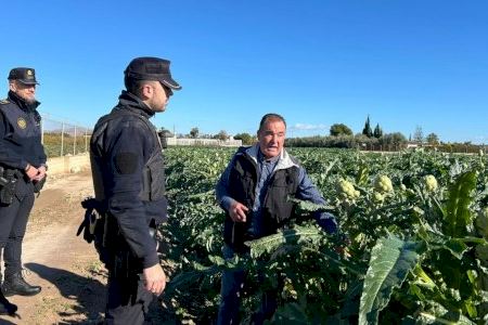 La Policía Local refuerza la vigilancia en el Camp d’Elx en plena campaña de la alcachofa