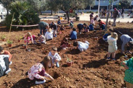 462 xiquets i xiquetes participen en el Dia de l'Arbre organitzat per l'Ajuntament d'Alcalà-Alcossebre