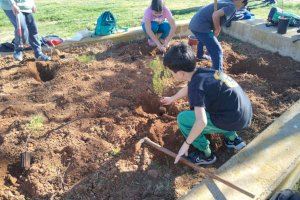462 xiquets i xiquetes participen en el Dia de l'Arbre organitzat per l'Ajuntament d'Alcalà-Alcossebre - (foto 2)