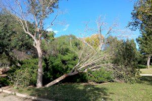 La borrasca Nils llega a la Comunitat Valenciana y abre la puerta a otro vendaval marcado por su persistencia