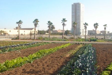 Los huertos urbanos de Sociópolis avanzan hacia su reapertura “con garantías de seguridad y rigor técnico”