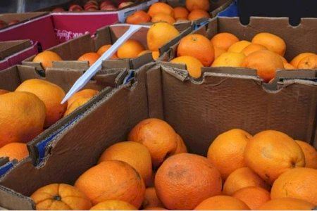 Indignació a Paterna: confisquen 150 quilos de taronges sense origen en fruiteries mentre el camp embene a pèrdues