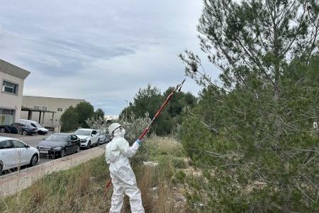La Nucía continúa la campaña contra la de procesionaria del pino