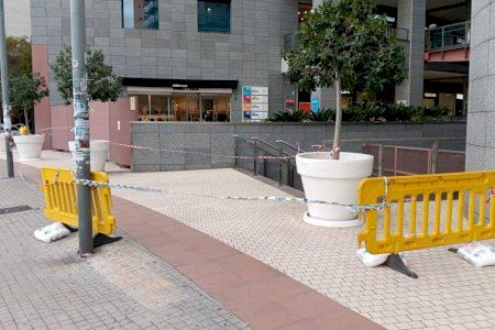 Dos mujeres heridas al desplomarse un árbol sobre ellas en Valencia