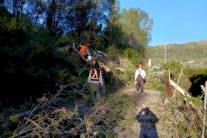 Rachas de hasta 153 km/h desatan una noche caótica en la Comunitat Valenciana con árboles caídos, daños en edificios y bomberos desbordados - (foto 30) Rachas de hasta 153 km/h desatan una noche caótica en la Comunitat Valenciana con árboles caídos, daños en edificios y bomberos desbordados - (foto 30)