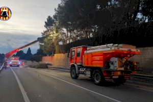 Rachas de hasta 153 km/h desatan una noche caótica en la Comunitat Valenciana con árboles caídos, daños en edificios y bomberos desbordados - (foto 14) Rachas de hasta 153 km/h desatan una noche caótica en la Comunitat Valenciana con árboles caídos, daños en edificios y bomberos desbordados - (foto 14)