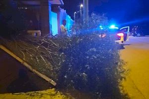 Rachas de hasta 153 km/h desatan una noche caótica en la Comunitat Valenciana con árboles caídos, daños en edificios y bomberos desbordados - (foto 22) Rachas de hasta 153 km/h desatan una noche caótica en la Comunitat Valenciana con árboles caídos, daños en edificios y bomberos desbordados - (foto 22)