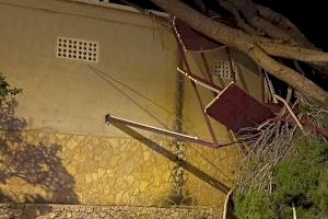 Rachas de hasta 153 km/h desatan una noche caótica en la Comunitat Valenciana con árboles caídos, daños en edificios y bomberos desbordados - (foto 25) Rachas de hasta 153 km/h desatan una noche caótica en la Comunitat Valenciana con árboles caídos, daños en edificios y bomberos desbordados - (foto 25)