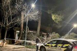 Rachas de hasta 153 km/h desatan una noche caótica en la Comunitat Valenciana con árboles caídos, daños en edificios y bomberos desbordados - (foto 11) Rachas de hasta 153 km/h desatan una noche caótica en la Comunitat Valenciana con árboles caídos, daños en edificios y bomberos desbordados - (foto 11)