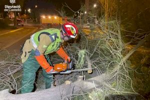 Rachas de hasta 153 km/h desatan una noche caótica en la Comunitat Valenciana con árboles caídos, daños en edificios y bomberos desbordados - (foto 9) Rachas de hasta 153 km/h desatan una noche caótica en la Comunitat Valenciana con árboles caídos, daños en edificios y bomberos desbordados - (foto 9)