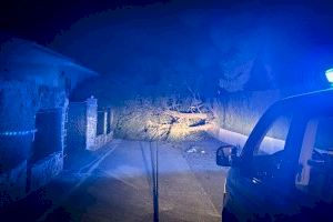 Rachas de hasta 153 km/h desatan una noche caótica en la Comunitat Valenciana con árboles caídos, daños en edificios y bomberos desbordados - (foto 26) Rachas de hasta 153 km/h desatan una noche caótica en la Comunitat Valenciana con árboles caídos, daños en edificios y bomberos desbordados - (foto 26)