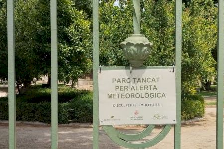 València suspende la celebración del Año Nuevo Chino y otras actividades al aire libre por la alerta naranja por el viento