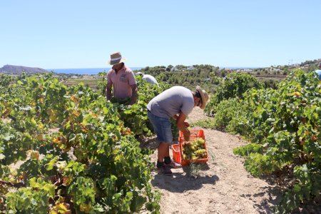 ASAJA Alicante no firma por primera vez el convenio provincial agropecuario por poner en riesgo la supervivencia del campo