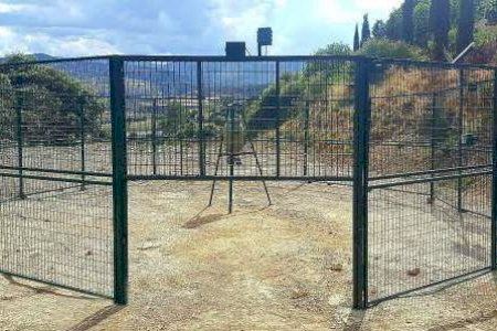 L'Ajuntament d'Alboraia instal·la un sistema de control i captura de senglars