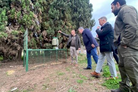 Jaulas en el río Millars para acabar con el principal foco de jabalíes de la Comunitat Valenciana: “Lo utilizan como autopista”