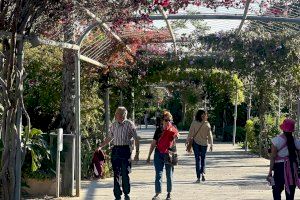 El ‘tiempo de Fallas’ se asoma en la Comunitat Valenciana con máximas de hasta 24 grados y ambiente primaveral en pleno invierno