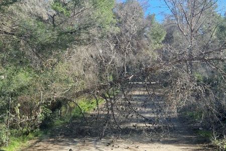 La Policía Local de l’Alfàs atiende 112 llamadas y 19 avisos del 112CV por el temporal de viento