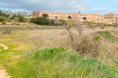 Bocairent inicia l’estudi per al desenvolupament urbanístic d’una nova fase dels Vilars Bocairent inicia l’estudi per al desenvolupament urbanístic d’una nova fase dels Vilars
