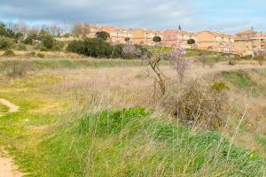 Bocairent inicia l’estudi per al desenvolupament urbanístic d’una nova fase dels Vilars