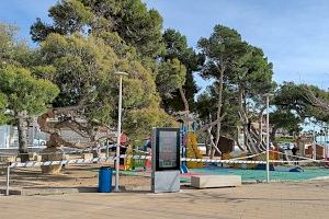 Un poble de Castelló ordena la tala urgent d'una pineda després de detectar “alta perillositat” - (foto 4) Un poble de Castelló ordena la tala urgent d'una pineda després de detectar “alta perillositat” - (foto 4)