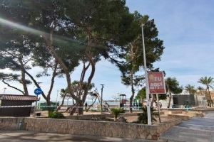 Un poble de Castelló ordena la tala urgent d'una pineda després de detectar “alta perillositat” - (foto 3) Un poble de Castelló ordena la tala urgent d'una pineda després de detectar “alta perillositat” - (foto 3)