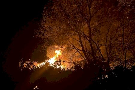 Un incendio de un cañar obliga a cortar los trenes en Carcaixent