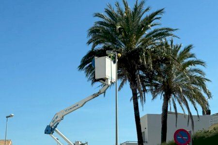 Oliva inicia la major renovació de les lluminàries i els quadres elèctrics de l'enllumenat públic del municipi Oliva inicia la major renovació de les lluminàries i els quadres elèctrics de l'enllumenat públic del municipi