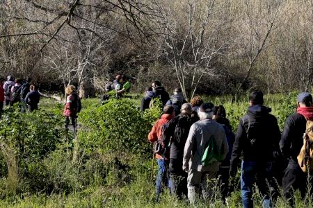 El río Mijares se convertirá en el escenario de una nueva ruta interpretativa de 10 kilómetros desde el mar hasta Santa Quiteria