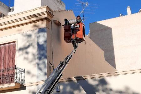 Torrevieja impulsa la biodiversidad urbana con la instalación de nuevos nidales para vencejos y avión común