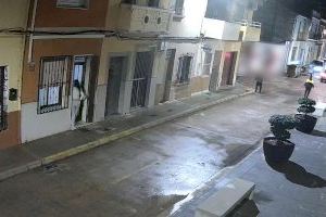 Un gos frustra un segrest a Polinyà de Xúquer i destapa una organització criminal: quatre detinguts en l’Operació ‘Nidorino’ - (foto 4) Un gos frustra un segrest a Polinyà de Xúquer i destapa una organització criminal: quatre detinguts en l’Operació ‘Nidorino’ - (foto 4)