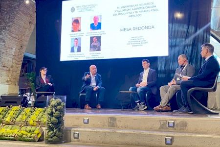 La Alcachofa de la Vega Baja del Segura inicia los trámites para obtener la Marca de Calidad CV