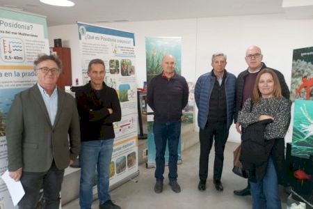 Ayuntamiento e Instituto de Ecología Litoral estrenan la exposición ‘Posidonia oceánica en 12 preguntas’