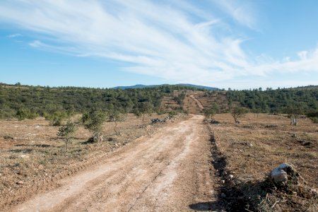 Bocairent completa una faixa de seguretat de primer ordre a la serra de Mariola Bocairent completa una faixa de seguretat de primer ordre a la serra de Mariola