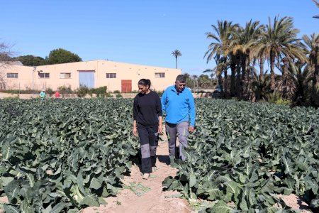 Andrés Soto recibirá el "Premio Agricultor del Año 2025" del Camp d’Elx por su gran empeño en constituir un negocio agrario rentable