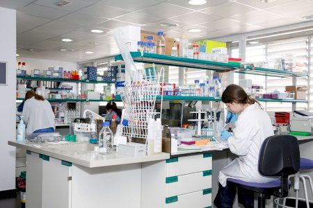 ISABIAL, UA y UMH presentan la convocatoria de ayudas para impulsar nueve redes de investigación sanitaria en la provincia