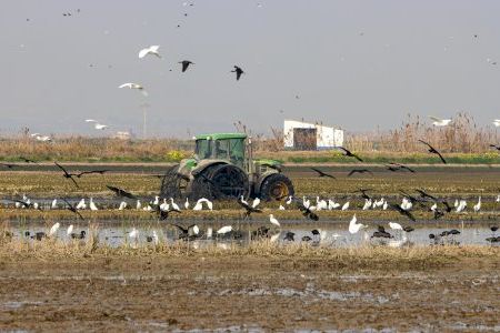 Los premios San Isidro Labrador reconocerán el trabajo de agricultores, ganaderos y pescadores de Valencia