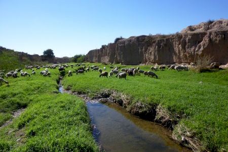 Alicante impulsará la restauración de tres barrancos para reducir el riesgo de inundaciones