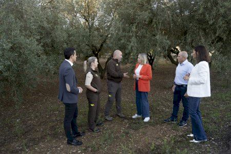 La Diputación de Castellón refuerza la vigilancia del campo para prevenir robos en municipios de menos de 5.000 habitantes