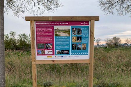 Orihuela instala paneles informativos sobre la flora y fauna del Segura para reforzar la educación ambiental en el entorno del río