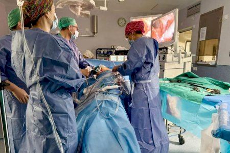 Un gesto anónimo en Valencia salva vidas: una donación de riñón inicia una cadena nacional de trasplantes Un gesto anónimo en Valencia salva vidas: una donación de riñón inicia una cadena nacional de trasplantes